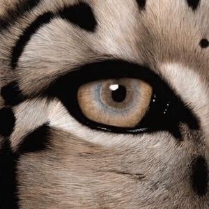 汉语对白做受❌❌❌69
